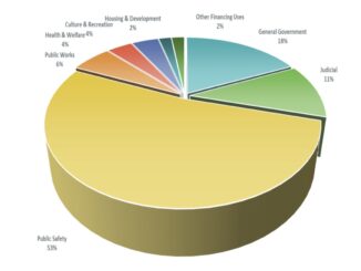 Pie chart showing Henry County budget expenditures (Henry County photo)