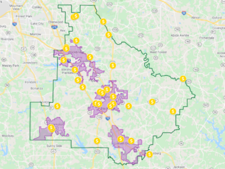Map showing small-box discount stores in Henry County (Google MyMaps photo)