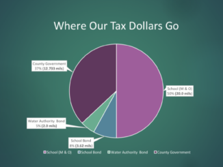 Pie chart showing Henry County property tax distribution (Henry County photo)