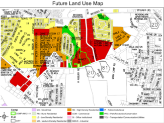 Future Land Use Map for the area off highway 20 near McDonough Parkway (Henry County photo).