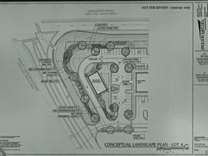 Jonesboro Road at Wesley Lakes Blvd concept landscaping plan (Albireo Real Estate Investments, LLC photo).