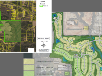 Image showing area map and site plan for Locust Road Age-Restricted Subdivision (Henry County map, Moore Bass Consulting site plan).