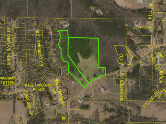 Area map showing the location for a new SR 81 West subdivision near Mill Road (Henry County photo).