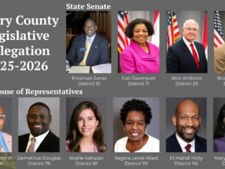 Photo collage shows the Henry County legislative delegation for 2025-2026 (Georgia Assembly official photos, The Henry Reporter collage).