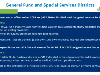 Presentation slide shows a Henry County mid-year budget summary for 2024-2025 (Henry County presentation slide).