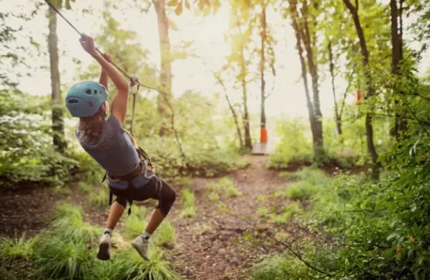 Woodland Day Camp