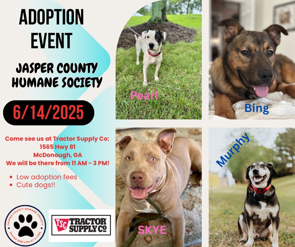 JCHS Adoption Event